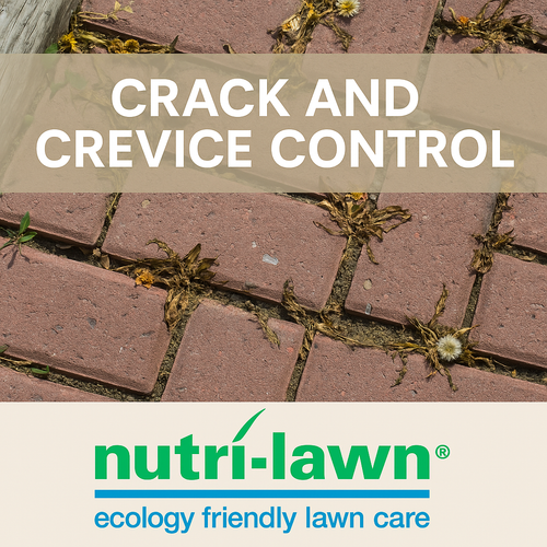 Crack & Crevice Control